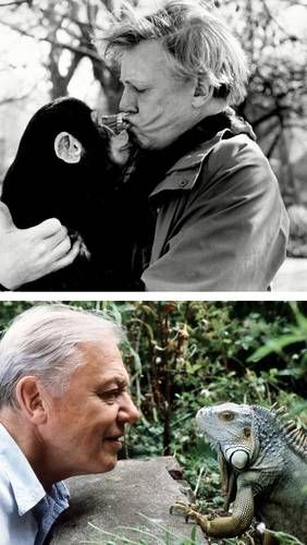 David-Attenborough-celebra-su-centenario-el-8-de-mayo-de-2026-3